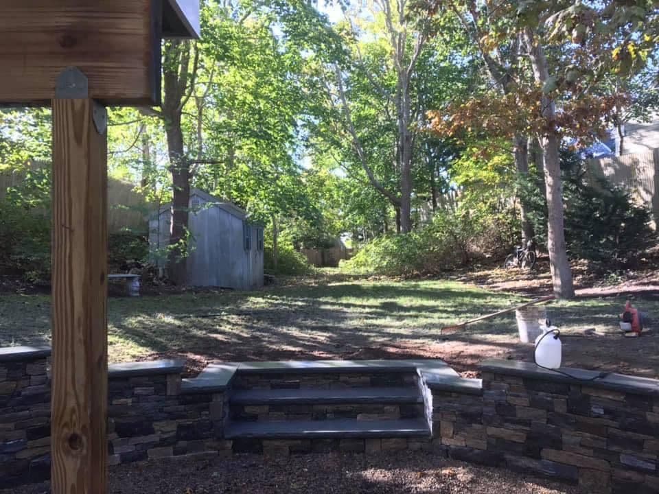 Backyard view with stone steps, trees, and a shed in a lush green setting.