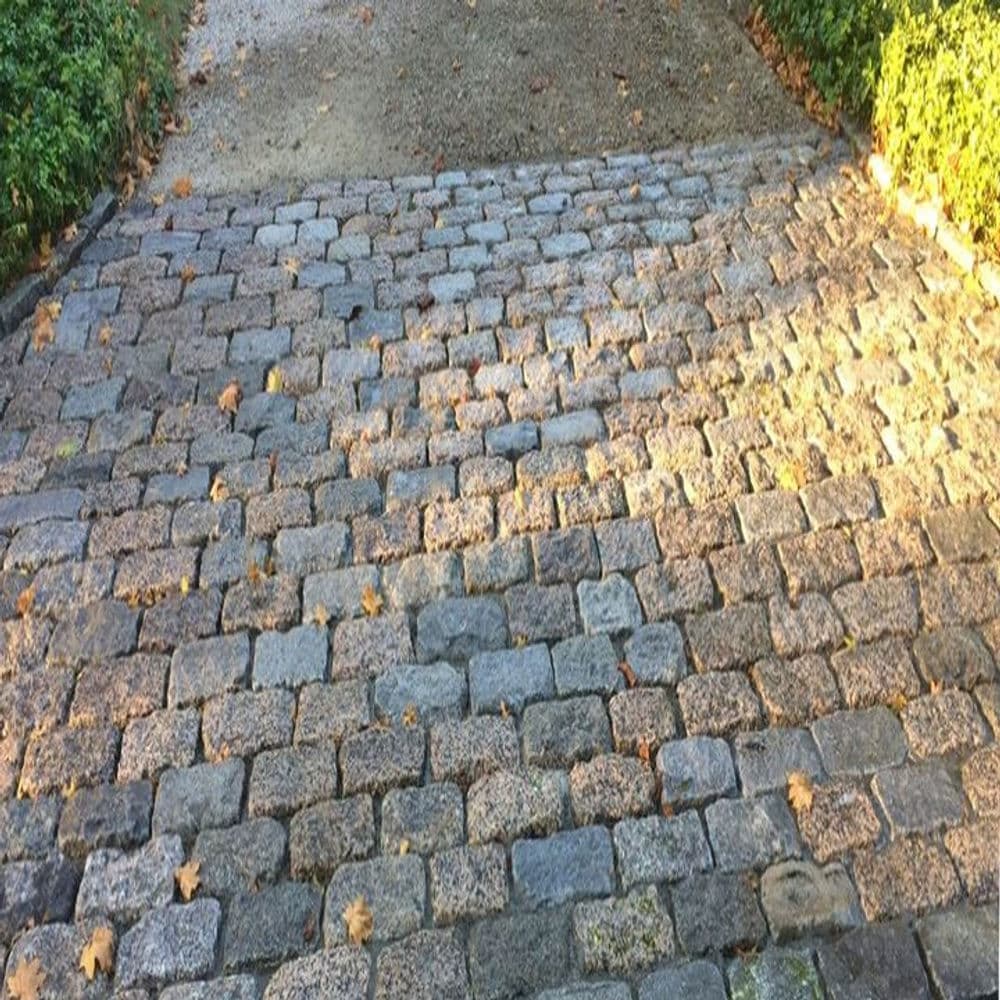 Cobblestone pathway with autumn leaves, showcasing a gently curved design and warm light.