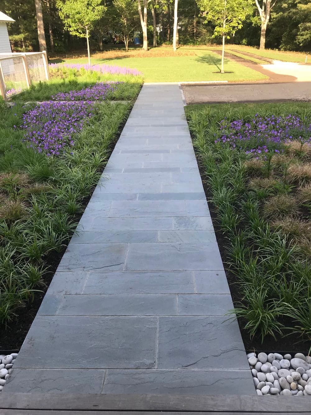 Stone pathway through a garden with purple flowers and lush greenery.
